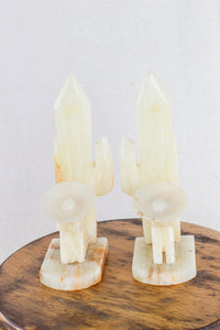 Onyx Cactus Bookends