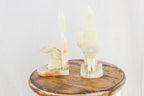 Onyx Cactus Bookends