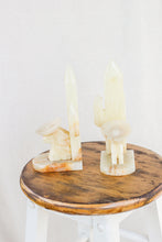 Load image into Gallery viewer, Onyx Cactus Bookends
