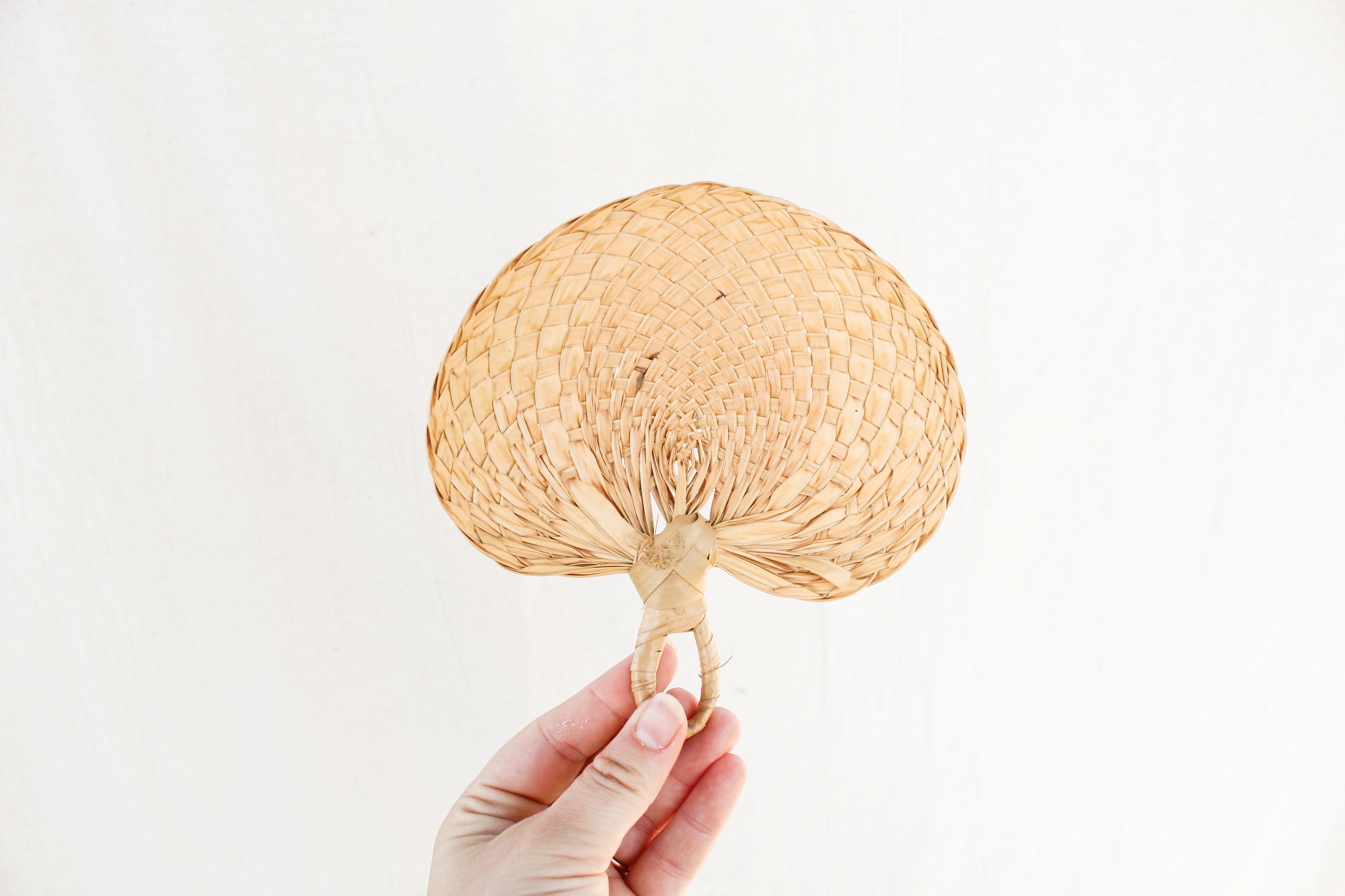 Pair of Raffia Fans