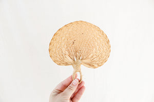 Pair of Raffia Fans
