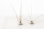 Pair of Brass Butterflies