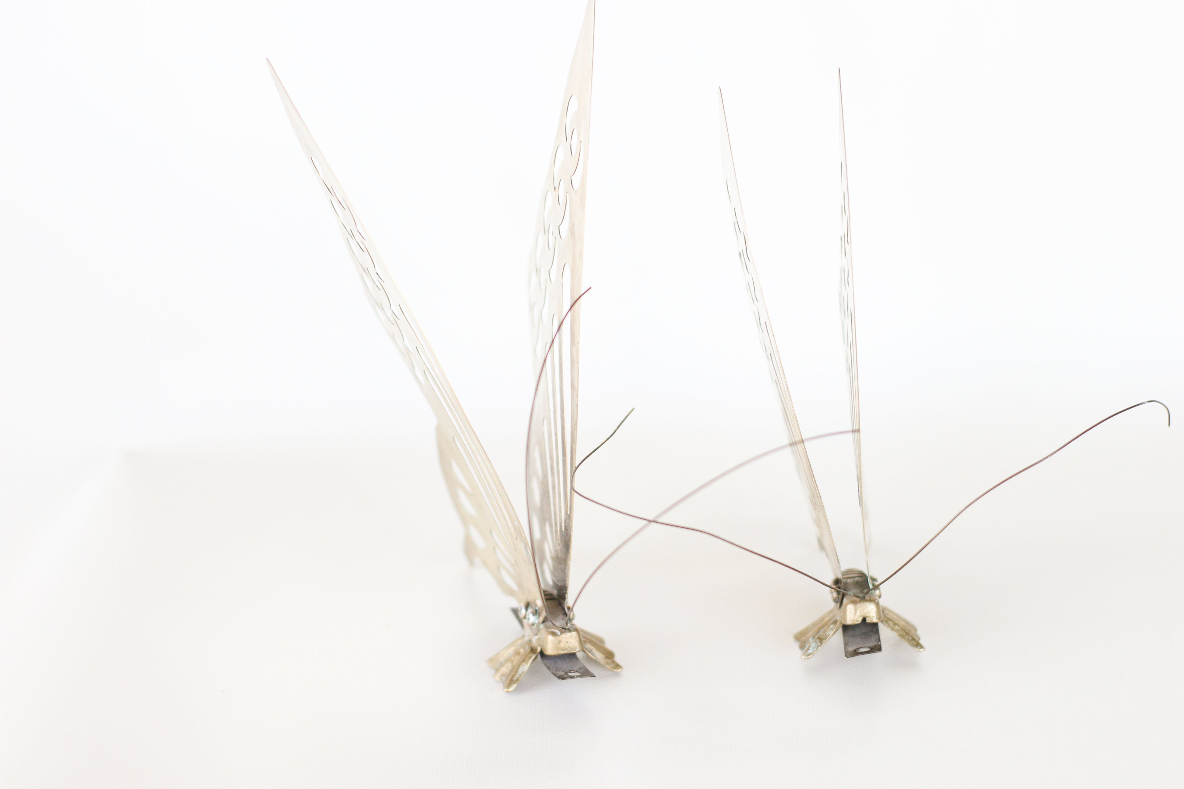 Pair of Brass Butterflies