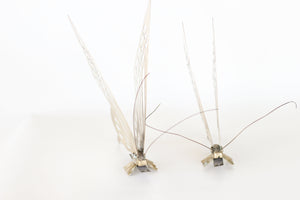 Pair of Brass Butterflies
