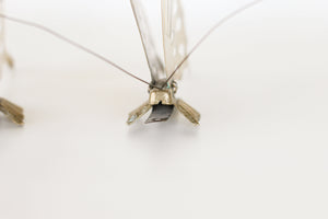 Pair of Brass Butterflies