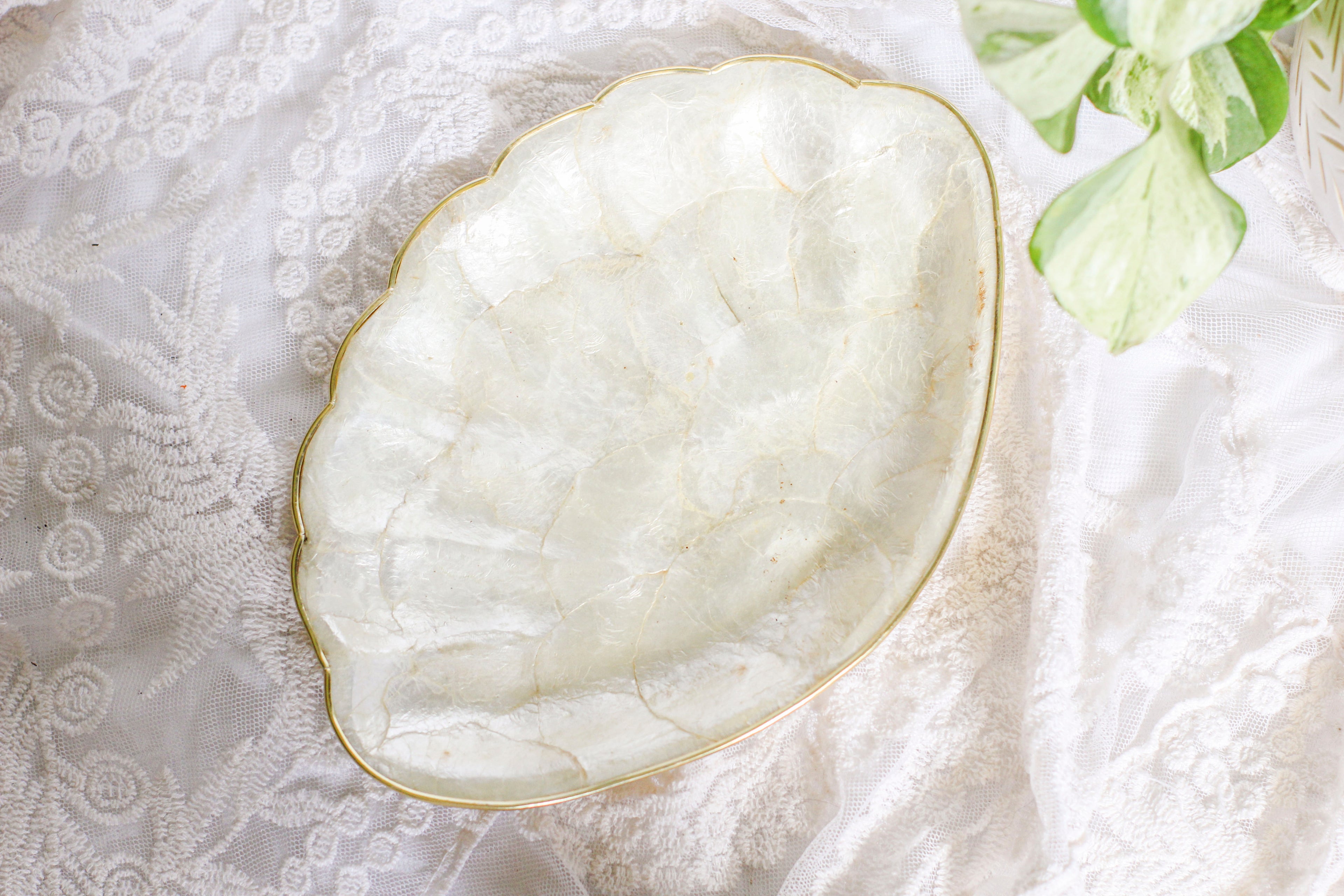 Pearlescent Shell Platters