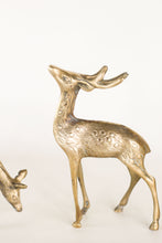Load image into Gallery viewer, Pair of Brass Deer
