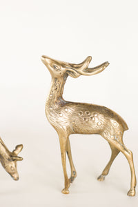 Pair of Brass Deer