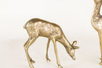 Pair of Brass Deer