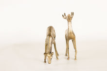 Load image into Gallery viewer, Pair of Brass Deer
