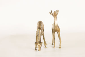 Pair of Brass Deer