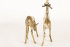 Pair of Brass Deer