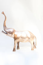 Pair of Brass Elephants