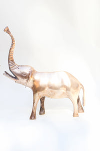 Pair of Brass Elephants