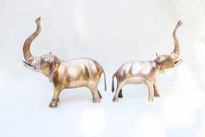 Pair of Brass Elephants