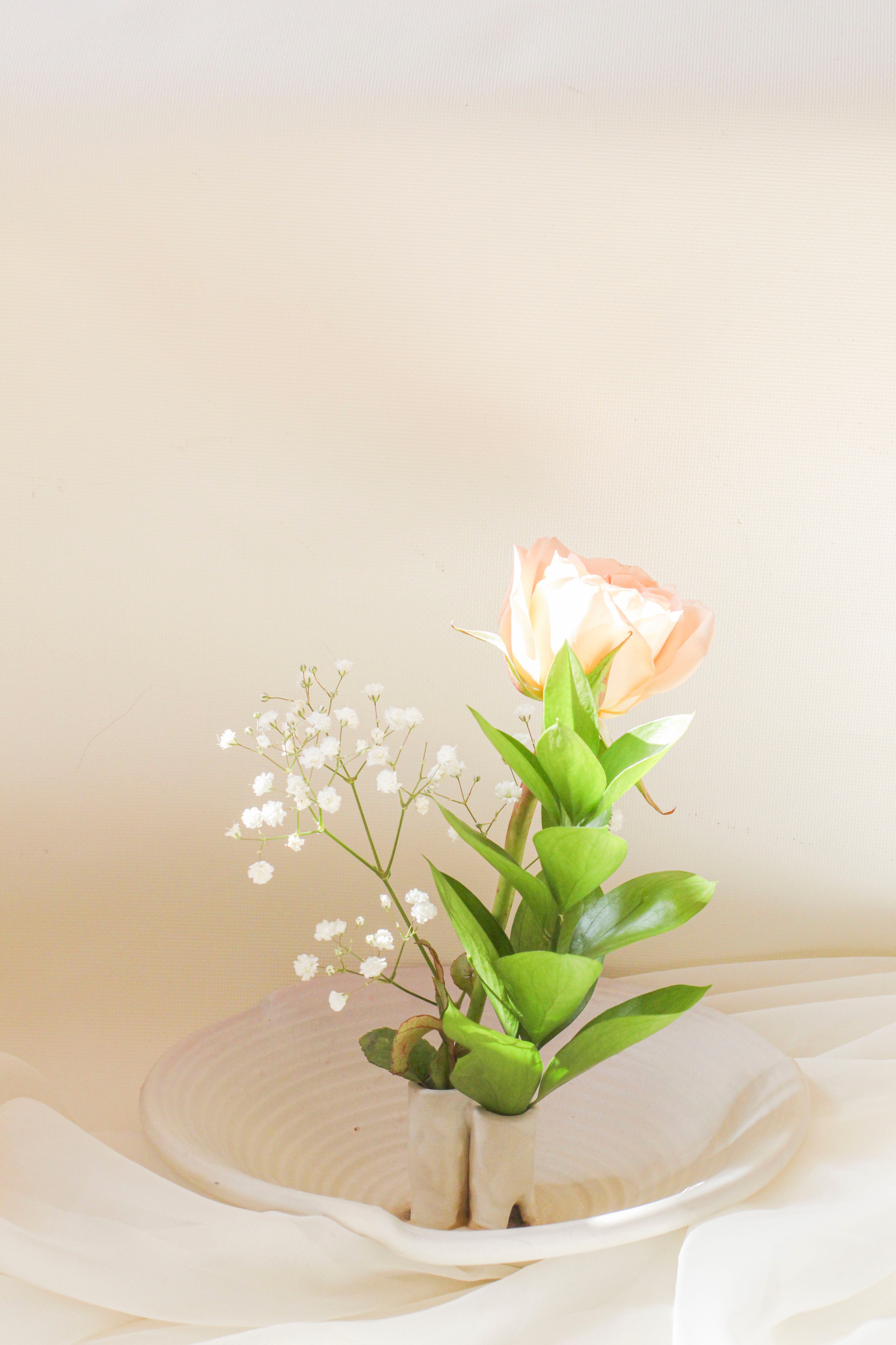 Ivory Ikebana Flower Vase