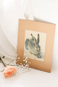 Vintage Matted Rabbit Print