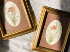 Pair of Vintage Floral Prints