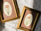 Pair of Vintage Floral Prints