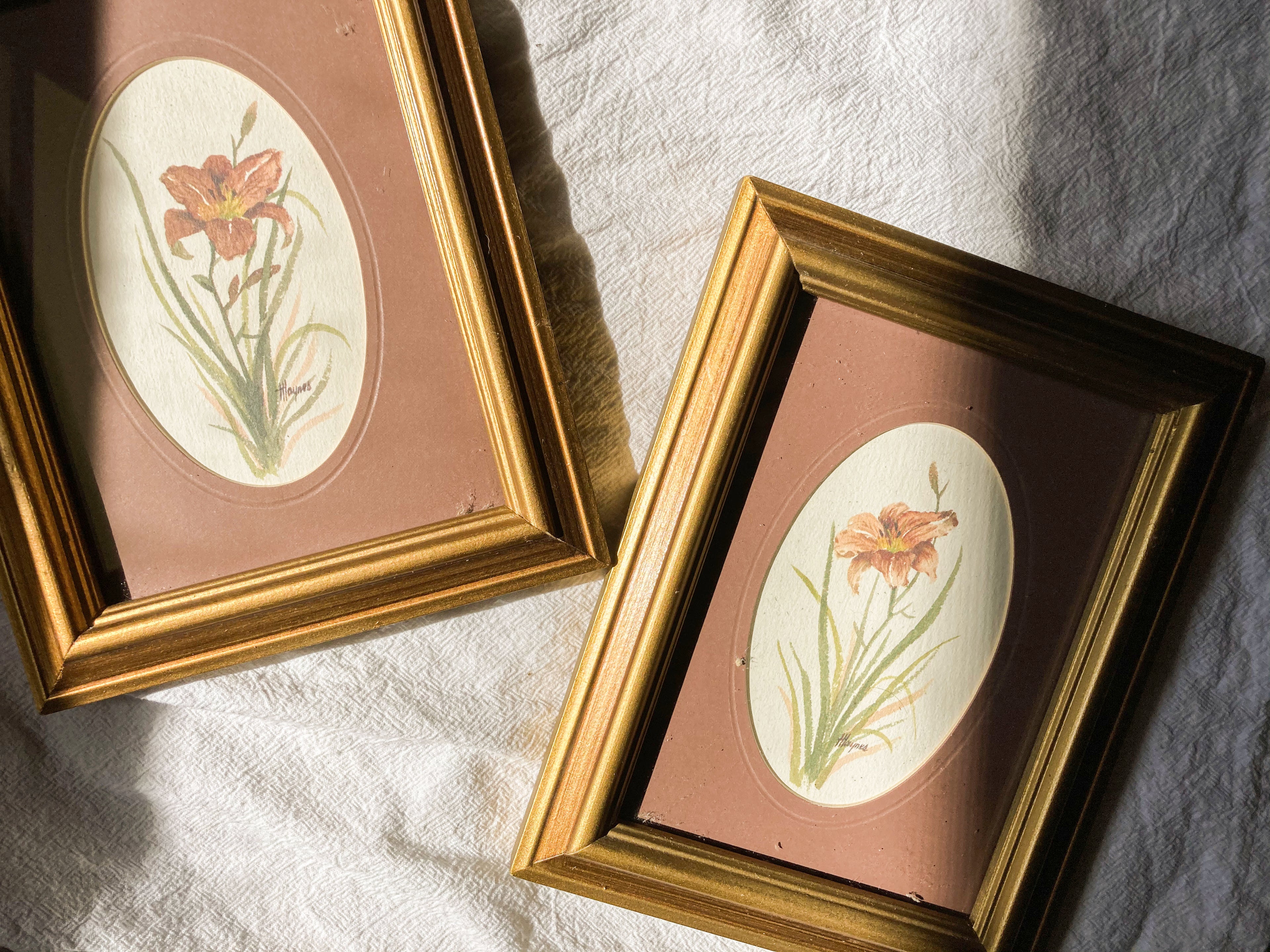 Pair of Vintage Floral Prints