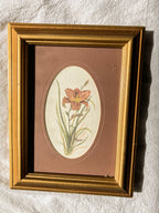 Pair of Vintage Floral Prints