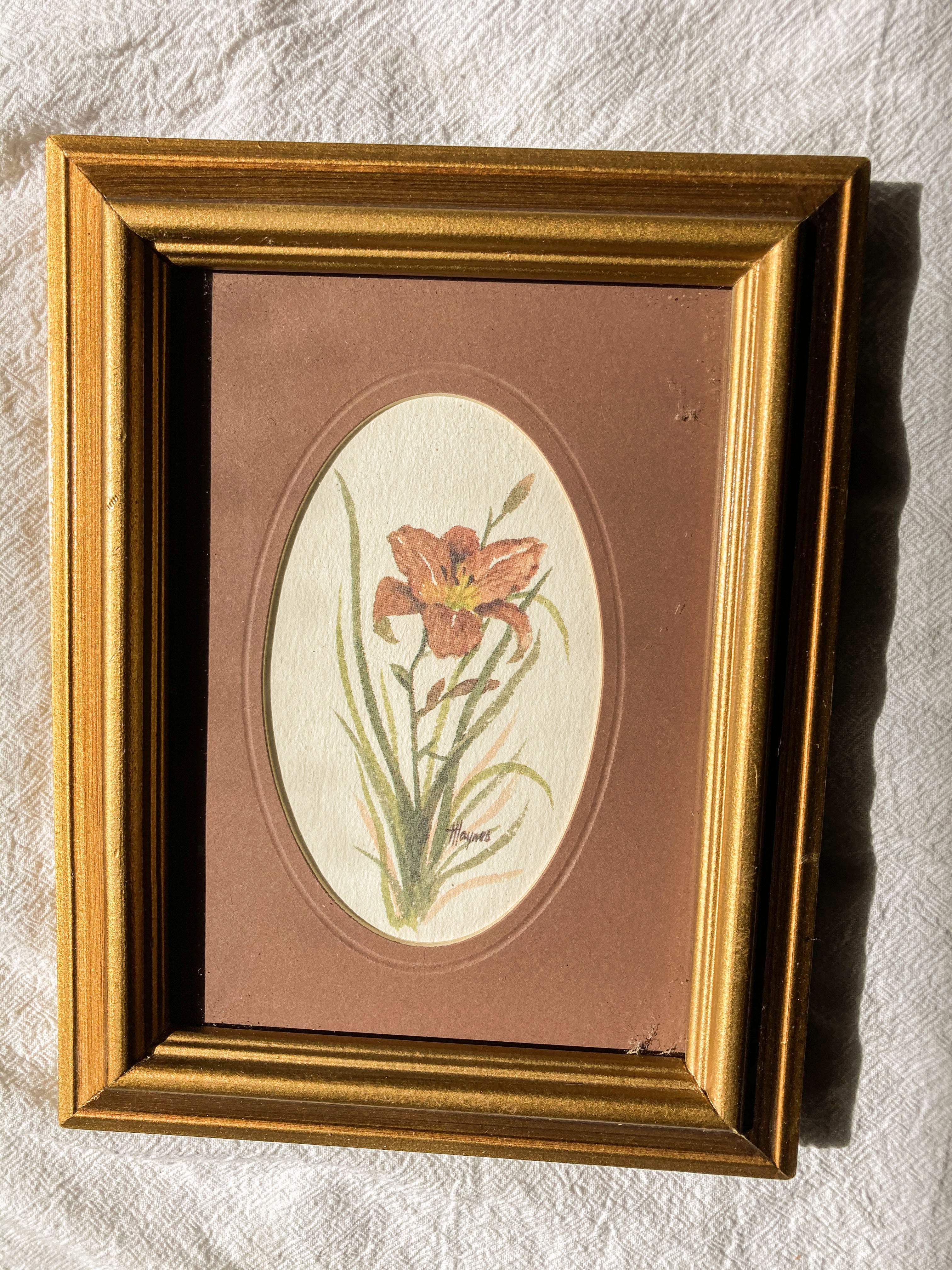 Pair of Vintage Floral Prints