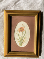 Pair of Vintage Floral Prints