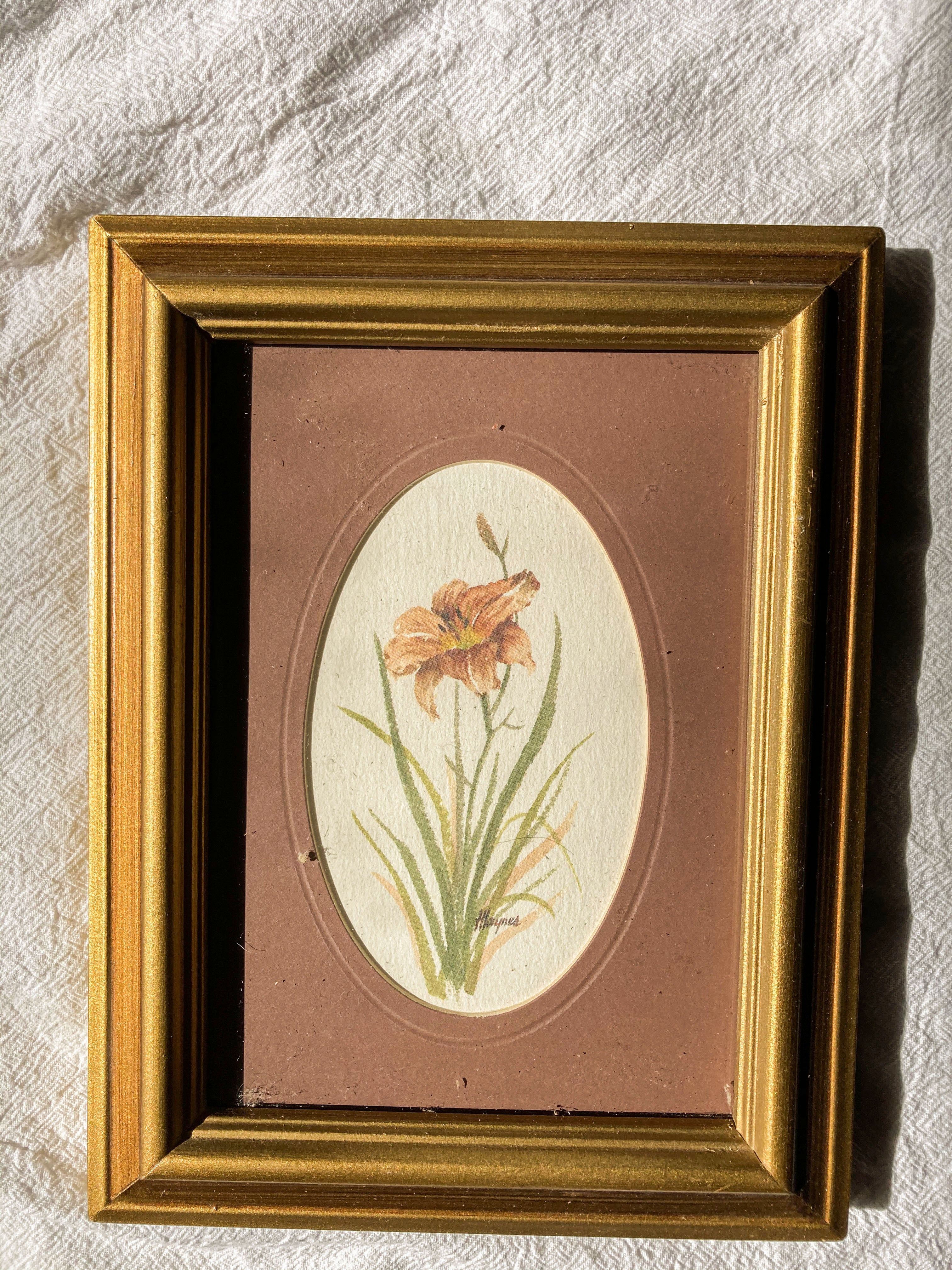 Pair of Vintage Floral Prints