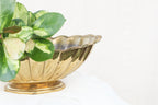 Scalloped Brass Bowl