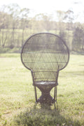 Black Peacock Chair