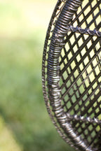 Black Peacock Chair