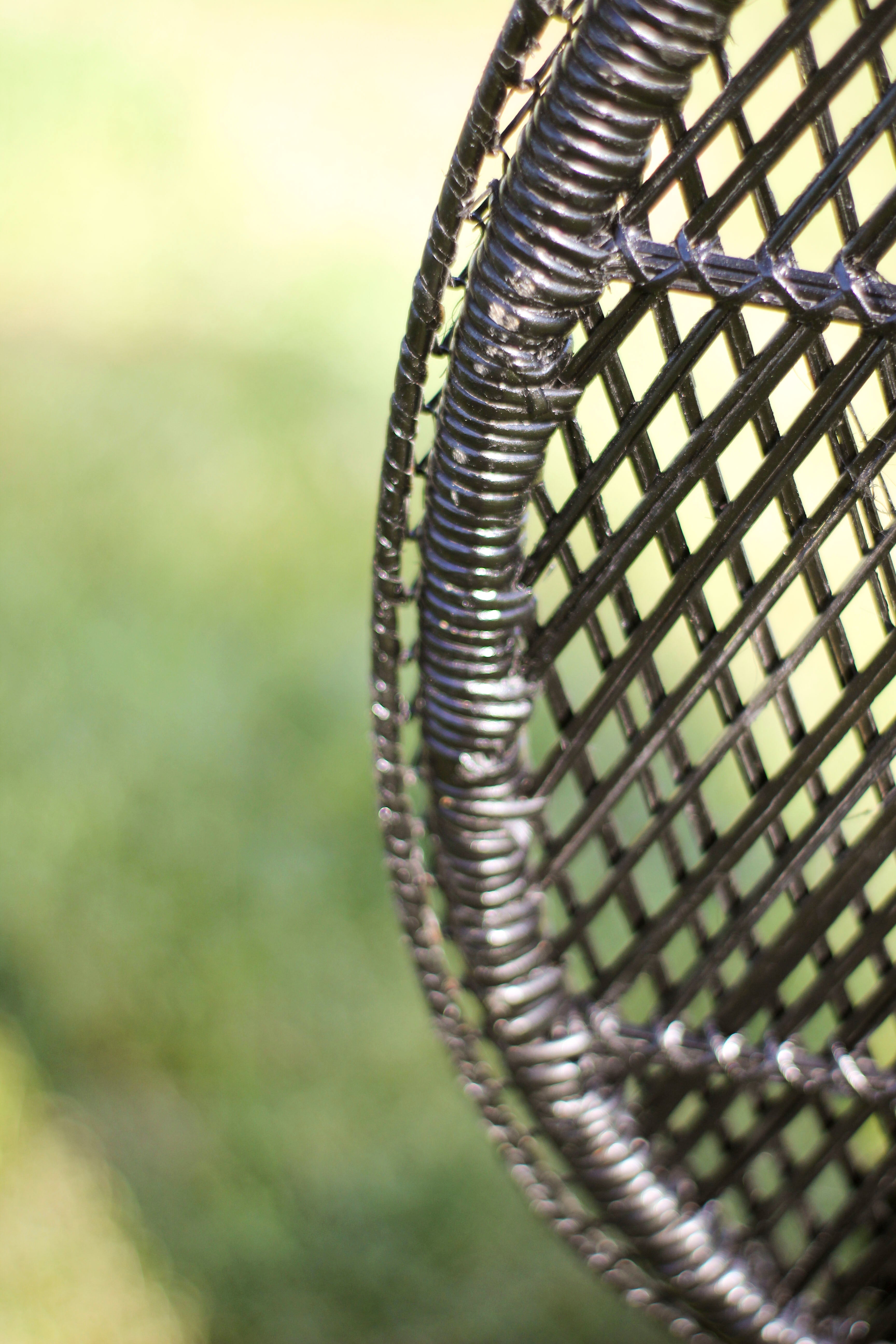 Black Peacock Chair