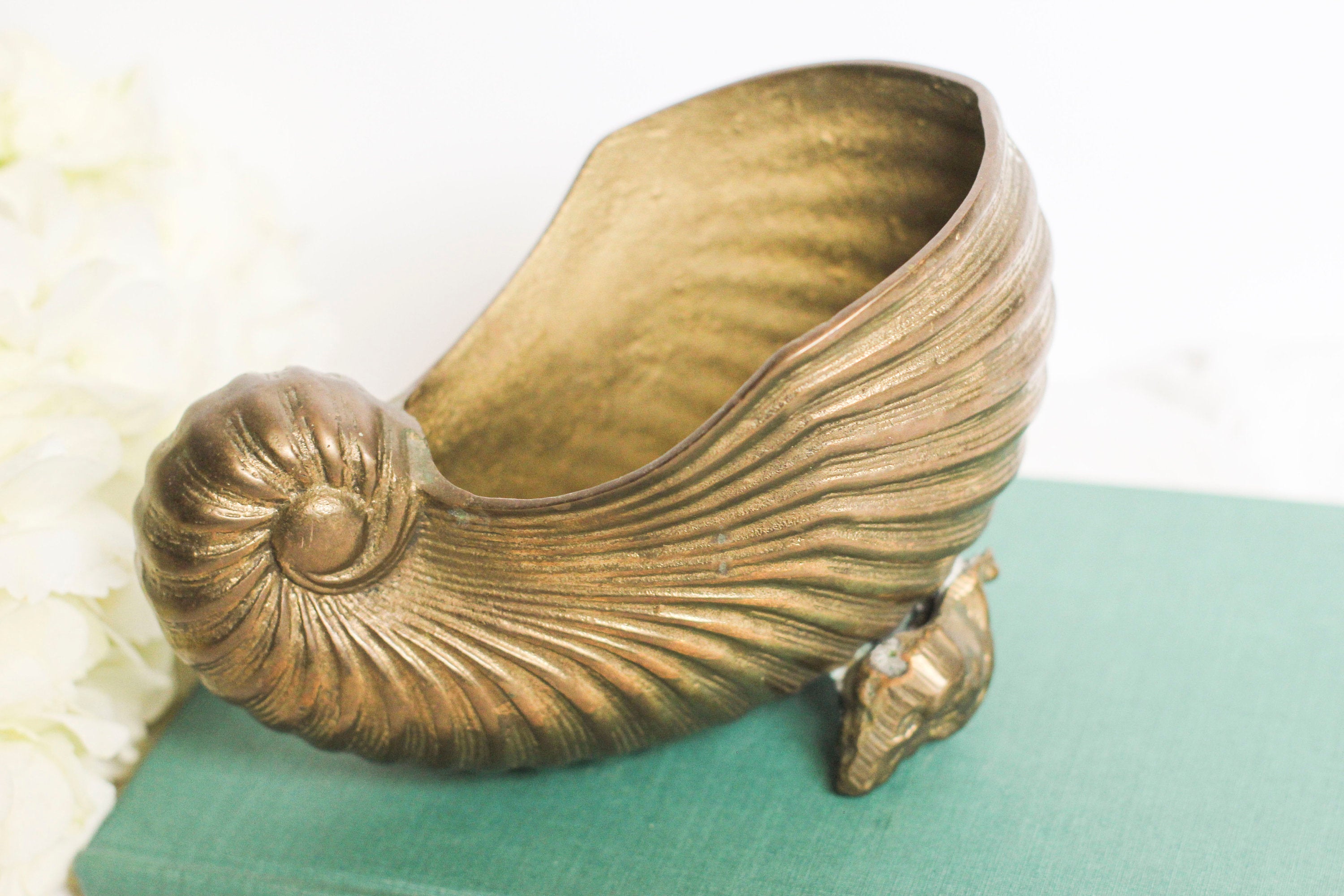 Small Brass Nautilus