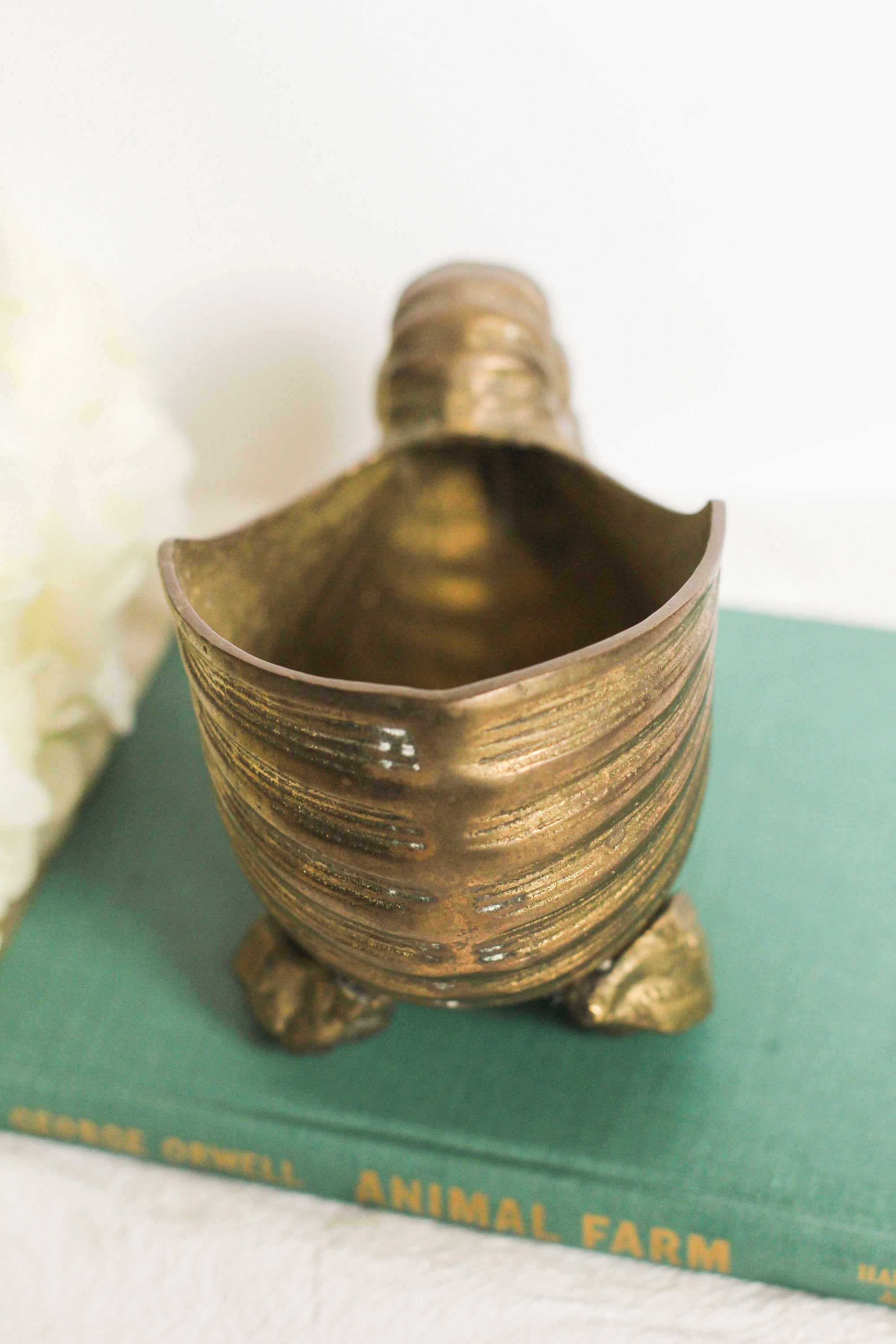 Small Brass Nautilus