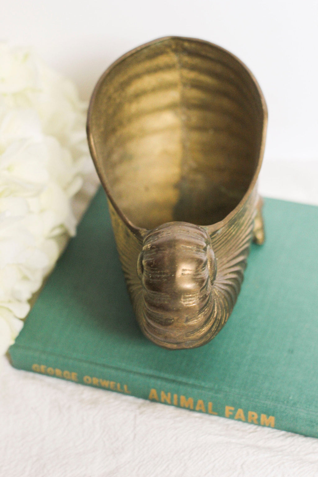 Small Brass Nautilus