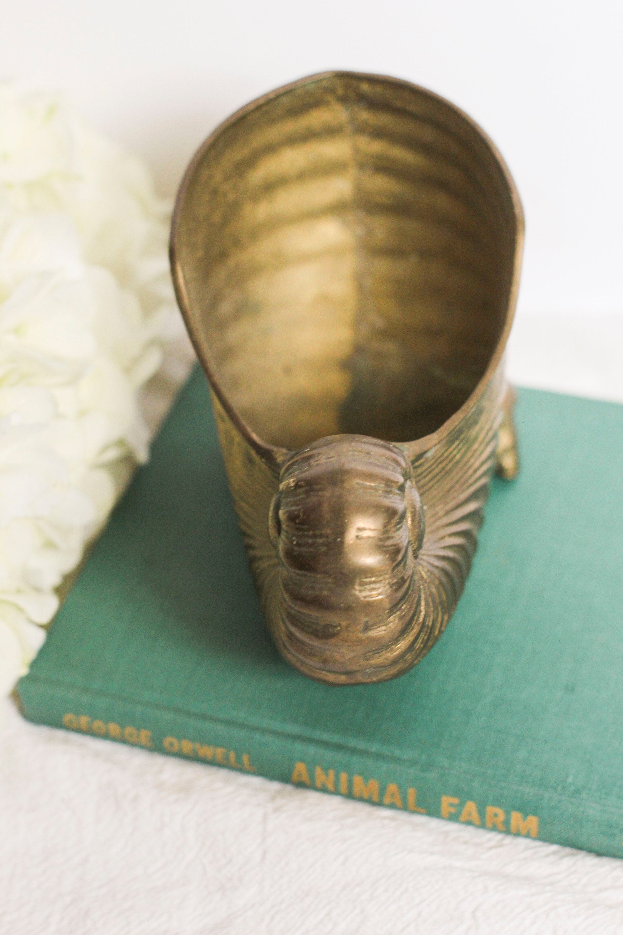 Small Brass Nautilus